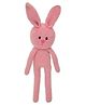 Happy Threads | Hoppy |Bunny | Height 27.94 cm