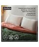 Ambra Linens 200TC Premium Luxury Pillow Cover Set, Solid Design, Soft & Smooth, 100% Cotton Pillow Cover, Compatible with All Bedding Styles
