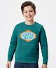 Pine Kids Knit Full Sleeves Sweatshirt With Skating Print - Mint Green
