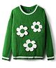 Pine Kids Knitted Full Sleeves Pullover Sweater With Floral Crochet Applique - Green