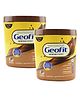 Geofit Nutrition Powder for Men & Women,Chocolate Flavoured 250g, Pack of 2 with High Proteins & Multivitamins & Minerals for Better Immunity & Health