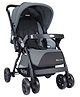 1st Step Grande Pro Stroller with 5 Point Safety Harness and Reversible Handlebar
