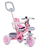 Plug & Play Tricycle with Height Adjustable Parental Push Handle - Pink| Cushion Seat with Harness| Foldable Footrest| Puncture Proof Wheels| Storage Baskets| Removable Safety Bar| Soft Grip Handle