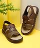 Tiny Bugs Colour Blocked With Velcro Closure Sandals - Brown