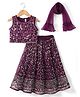 Babyhug Woven Sleeveless Lehenga Choli and Dupatta Set with Sequin Embroidery - Wine