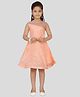 Aarika Net Woven Sleeveless Floral Applique Detailed Leaves Embroidered Dress - Peach
