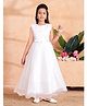 Aarika Net Woven Sleeveless Floral Applique Detailed Gown - White