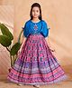 Aarika Georgette Woven Sleeveless Floral Printed & Embroidered Mirror Work Detailed Gown - Blue & Rani Pink