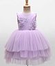 BlueBell Net Woven Sleeveless Party Dress With Floral Applique - Purple