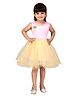 Aarika Net Woven Sleeveless Colour Blocked & Pearls Embellished Dress - Pink