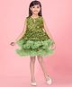 Aarika Net Woven Sleeveless Ruffle & Floral Applique Detailed Dress - Green