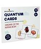 Brainsmith Organs of The Human Body Flash Cards - 10 cards