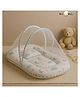 NeonateCare Premium Baby Bedding Set Mattress with Mosquito Net and Pillow - (white and Blue color)