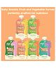 Rorosaur Baby Food - Snack with Purees of Fruits & Veggies - Ready to Eat Cereal & Porridge for Little One | Rich in Vitamins & Minerals | No Added Sugars/Salts/Preservatives - Pack of 6 (100g each)