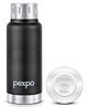 Pexpo Cameo Vacuum Insulated 300ml Stainless Steel Water Bottle - Black Knight | Hot & Cold Upto 5-6 Hours | Leak of | Office, School, Gym & Travelling|Men, Women & Kids|