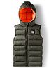 Babyhug Woven Sleeveless Hooded Padded Jacket With Play Time Patch - Olive Green