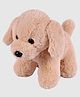 Dukiekooky Super Cute & Adorable Puppy Soft/Plush ToyHeight 22 cm