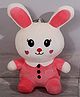 DukieKooky 30 cm Super Cute & Adorable Bunny Soft/Plush Toy