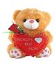 Tickles World Best Mom Heart Teddy Soft Stuffed Plush Toy for Mummy Mothers Day Gift (Color: Brown Size:26 cm)