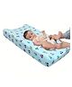 Zikku Baby Diaper Changing and Massage Pad with Safety Belt and Cover (Teddy  Pad + Cartoon Cover)
