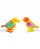 Fiddlys 2 pcs Jumping Sparrow, Squirrel Key Operated Wind Up Toys for Toddler Kids Colorful Funny Moving Toys for Babies 6-12 Months Pack of 2 (Sparrow Assorted)