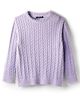 Pine Kids Knit Full Sleeves Pullover Sweater with Cable Knit Design - Lavender