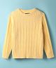 Pine Kids Knit Full Sleeves Pullover Sweater with Cable Knit Design - Yellow
