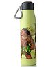 Gluman Stainless Steel Bottle With Moana Print Light Green - 750 ml-Plastic Water Bottle