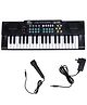 Intern INT-KB-3701, 37 Keys Portable Mini Piano Keyboard with Microphone and 5V DC Power Adapter (Black)