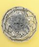Aye Candy Floral Applique Detailed Sequins Embellished Hair Alligator Clip - Silver