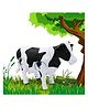 ToyBharat Walking Cow with Light |Multicolour | Battery Toy | Birthday Gift | Robot Toy