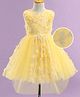 Mark & Mia Woven Sleeveless Party Dress with Floral Applique & Net Detailing - Yellow