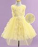 Mark & Mia Woven Sleeveless Party Dress with Floral Applique & Net Detailing - Yellow