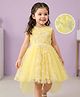 Mark & Mia Woven Sleeveless Party Dress with Floral Applique & Net Detailing - Yellow