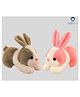 CuddleNest 30 cm Rabbit soft toy pack of 2