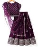 Pine Kids Woven Half Sleeves Choli Lehenga Set with Dupatta & Sequin Detailing - Wine