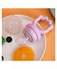 AEREX Silicone Food Pacifier with Handle Soft Baby Fruit Nibbler Chewing Nibbler for Babies Baby Fruit Teether for Newborn Babies (Purple)