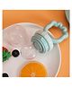 AEREX Silicone Food Pacifier with Handle Soft Baby Fruit Nibbler Chewing Nibbler for Babies Baby Fruit Teether for Newborn Babies (Green)