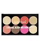 Shryoan Cosmetics Contour Blush and Highlighter Palette | 8 Color | Highly Pigmented Matte Finish Highlighter - (Multicolor 01)