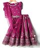 Babyhug Woven Frill Sleeves Choli Lehenga With Dupatta Set & Floral Embroidered - Maroon