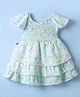 Dew Drops Net Woven Frill Sleeves Frock with Smock Detailing & Floral Print - Light Green