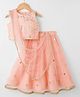Babyhug Woven Sleeveless Choli Lehenga Set with Dupatta Sequin & Lace Detailing - Peach