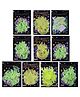 Birthday Popper 20 Pcs Radium Assorted Theme Glow in The Dark Stickers- Birthday Return Gifts for Boys & Girls