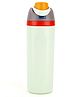 Little Surprise Box Flip Lid styled Premium Stainless steel Double Wall Bottle Mint - 750 ml