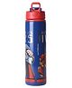 Marvel Avengers Water Bottle Blue Red - 750 ml