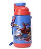 Marvel Spider Man Insulated Sipper Water Bottle Red and Blue - 500 ml