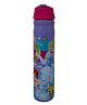 Disney Princess Aluminum Sipper Water Bottle Purple - 730 ml
