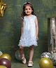 Saka Designs By Sapna Net Woven Sleeveless  Polka Dots Glitter Printed Shimmered Layered Dress - Grey