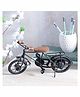 Desi Karigar Home Cycle Showpiece - Black