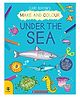 Make And Colour- Under The Sea Board Books Clare Beaton - English